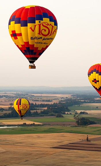 Vista Balloons