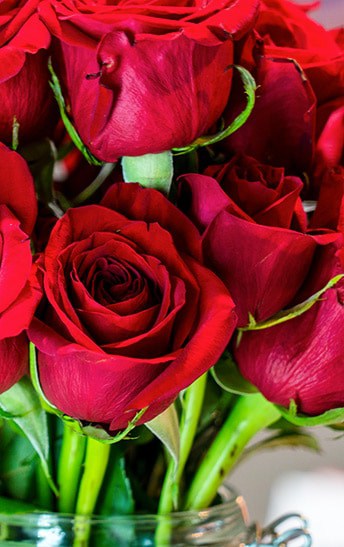 Roses