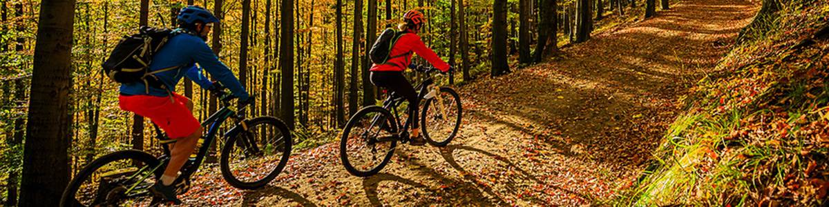 Couple cycling in the forest in fall
