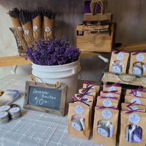 Lavender Salve, lip balm and fresh bouquets on sale at Little Lavender Farm Shop