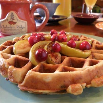 waffle with apple slices and cranberries
