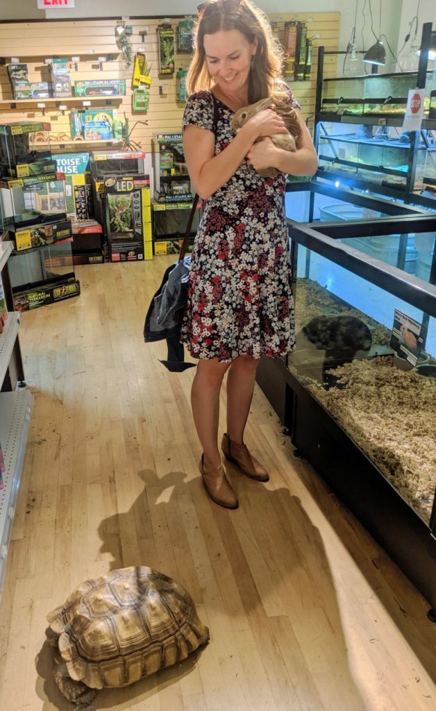 A woman holding a rabbit and looking at a turtle on the floor inside a store.