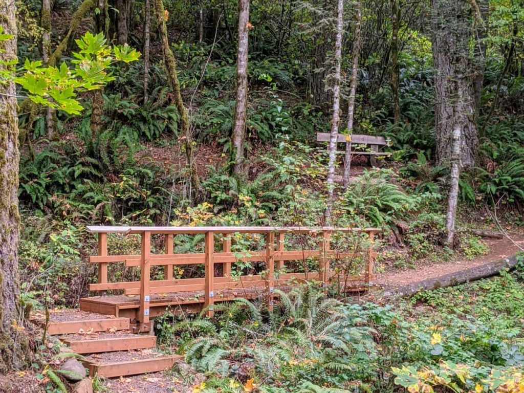a path through the woods with a footbridge across a creek in the Willamette Valley