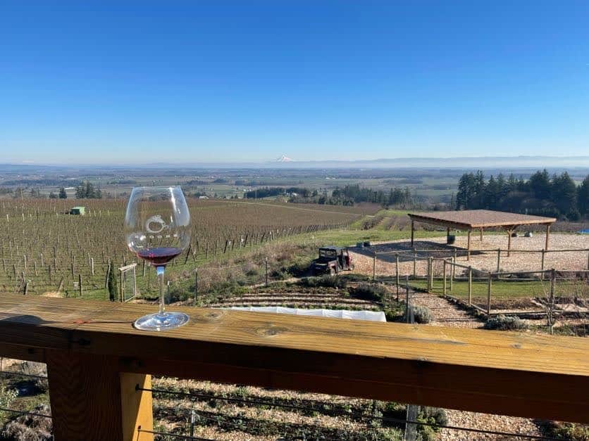 a wine glass sitting on the deck of Brooks wine, with expansive views past the wintering vines