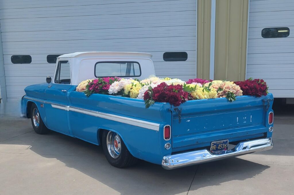 a vintage blue pick-up truck filled with peony blooms