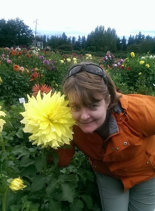 a vey large yellow dahlia with a woman standing next to it, showing the bloom is as big as her head