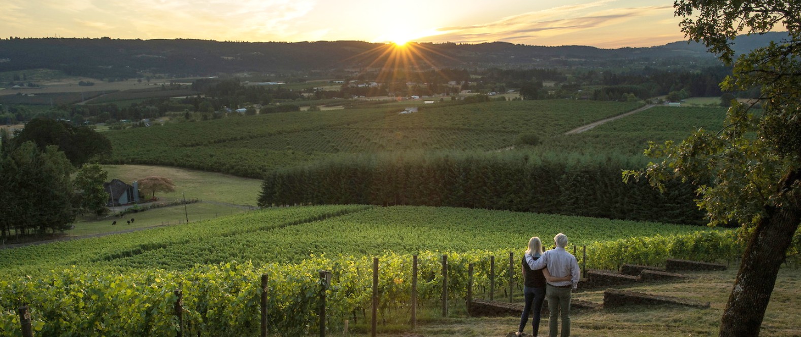 a view of the Anderson Family Vineyards, a small winery with a big view