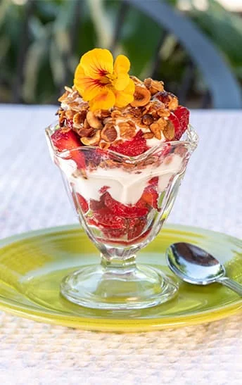 Fresh fruit yogurt parfait