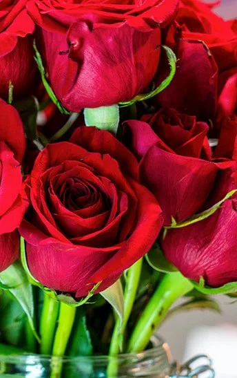 Roses