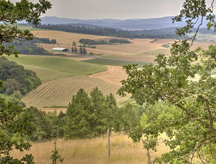 Rural Oregon Landscape