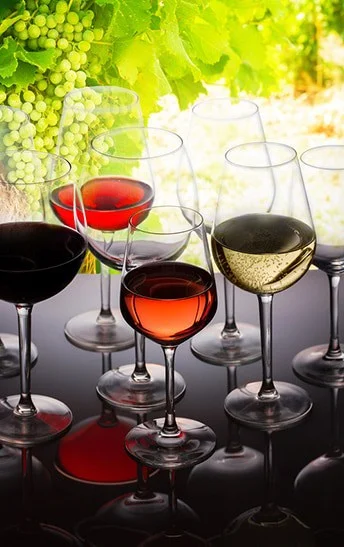 Willamette Valley Wine Tasting glasses